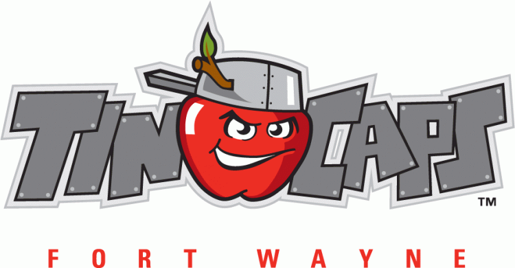 Fort Wayne Tincaps 2008-pres primary logo iron on transfers for clothing